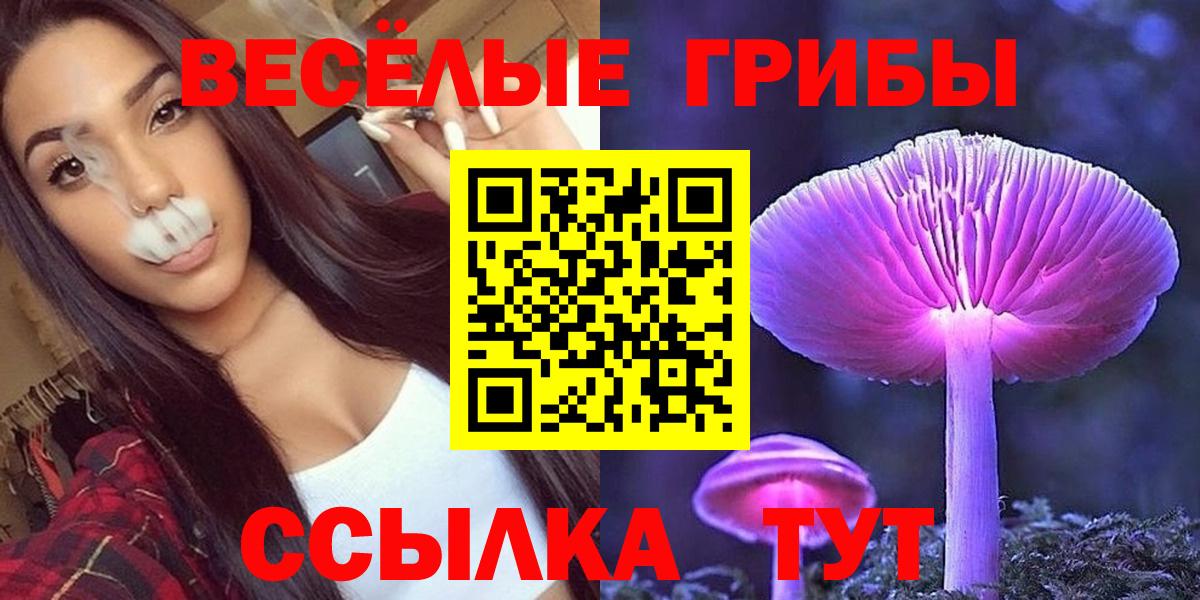 Псилоцибиновые грибы ЛСД Белебей