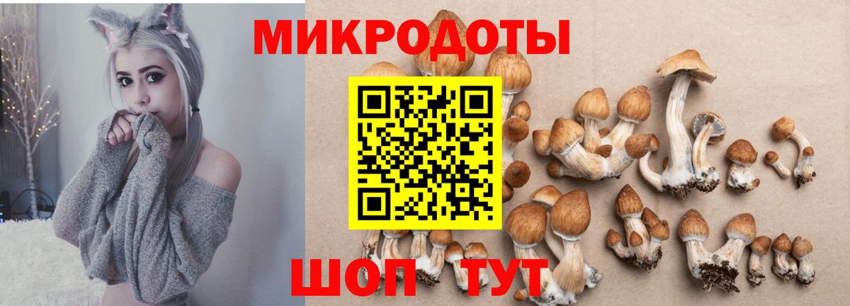 Псилоцибиновые грибы прущие грибы  Псилоцибиновые грибы MAGIC MUSHROOMS  Вход с VPN  Белебей 